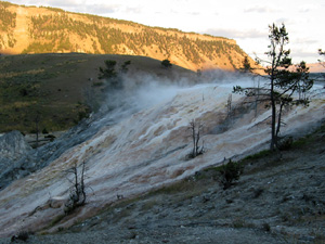   Mammoth Springs