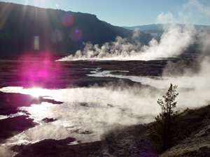 Mammoth Springs   